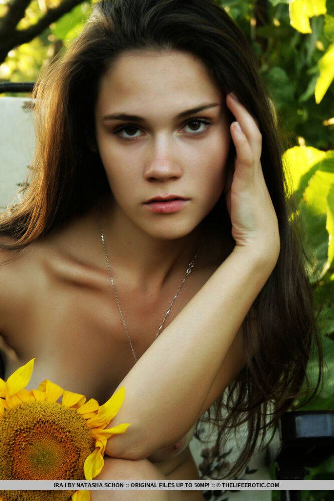 Young brunette Ira I holds sunflowers while stripping totally naked in a field - #10