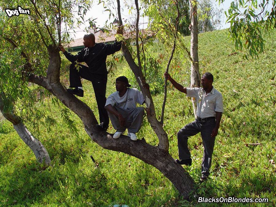 Young blonde slut gets gangbanged by black men in wooded backyard - #13