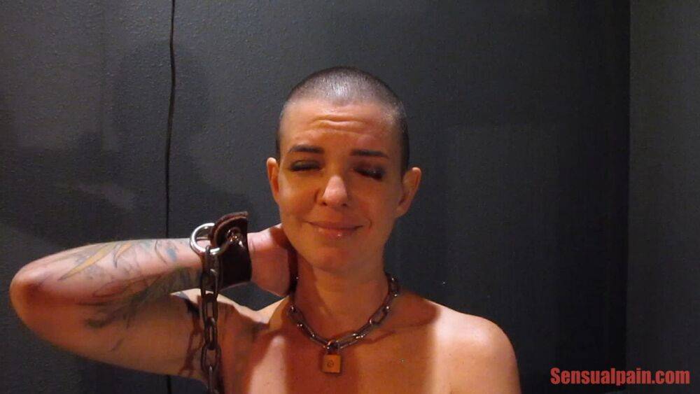 Shaved head slut Abigail Dupree getting tortured in the dungeon | Photo: 1232562