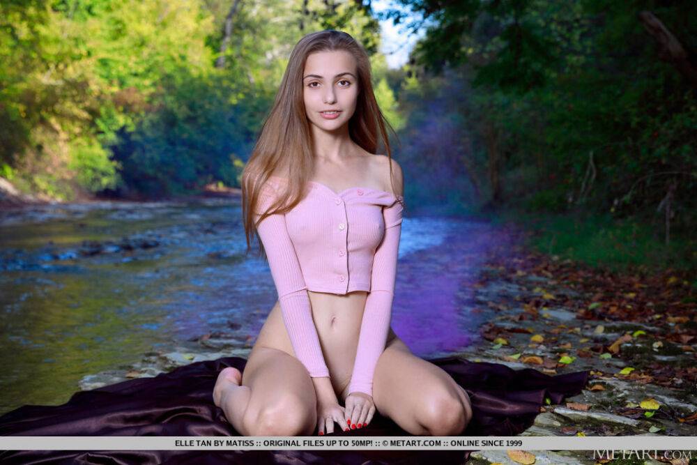 Young solo girl Elle Tan gets completely naked in a shallow creek - #14