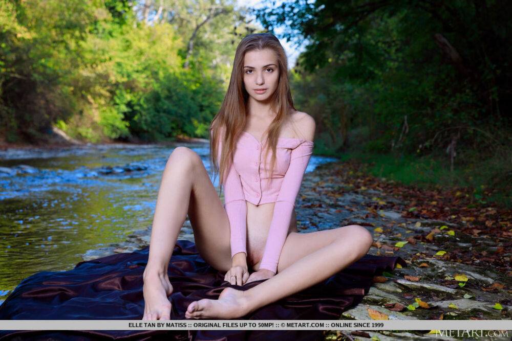 Young solo girl Elle Tan gets completely naked in a shallow creek - #11