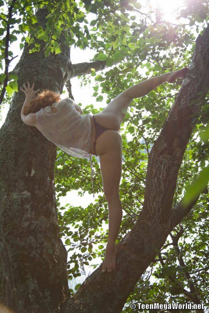 Young redhead flaunts her sexy ass and spreads her pussy up in a tree - #4