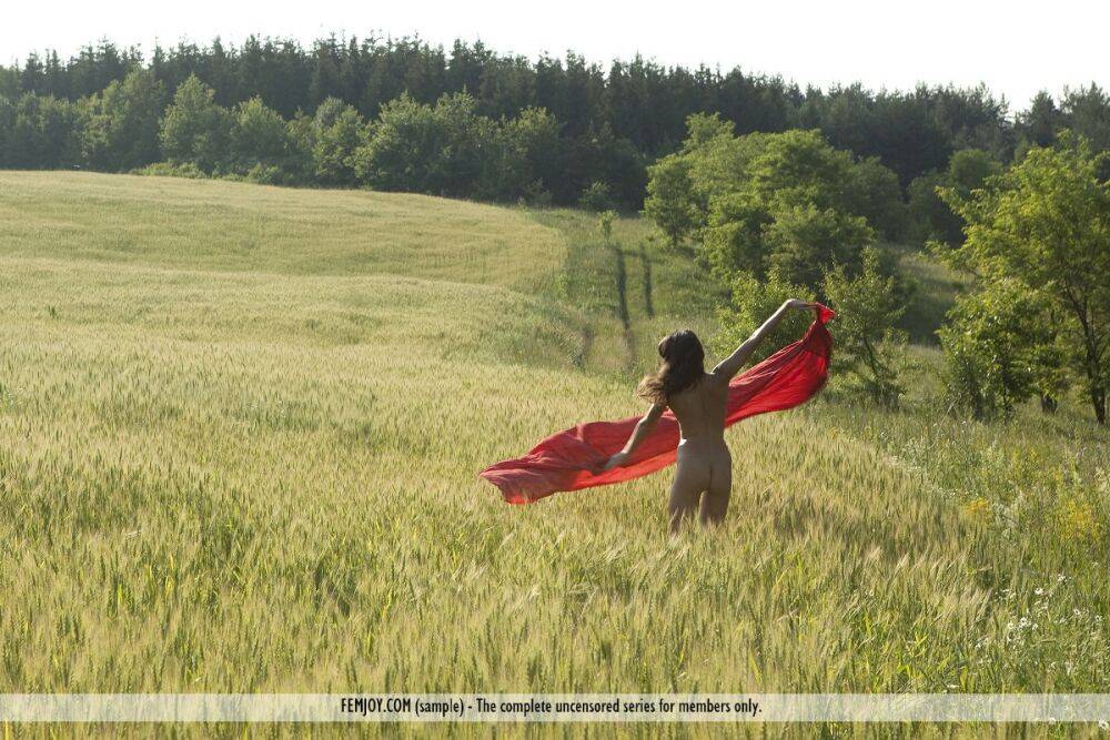 Totally naked girl Alannis strikes great poses while out in a hay field - #3