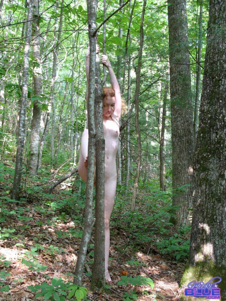 Natural redhead Nicki Blue swings from a tree while totally naked in the woods - #1