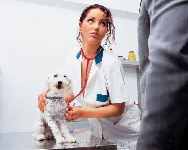 Hot veterinarian in stockings gets sexed in the office by a horny dog owner - #14