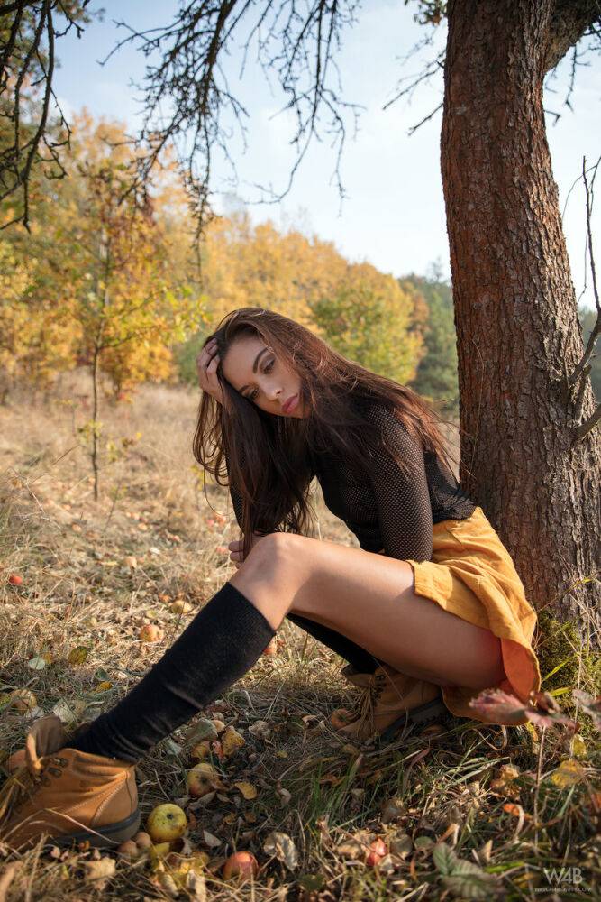 Glam model Sabrisse shows landing strip pussy in black knee socks under a tree - #8