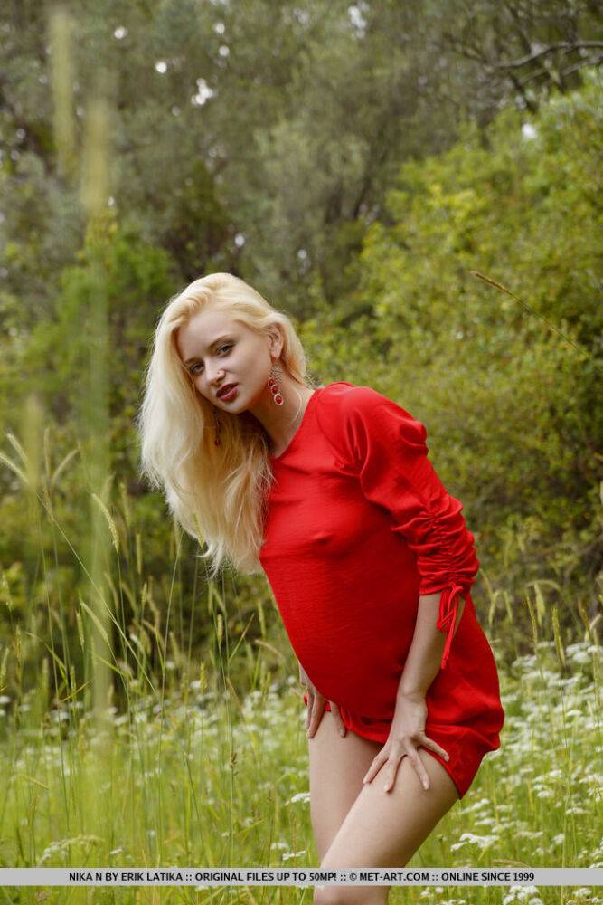 Natural blonde Nika N doffs a red dress for great nude poses up in a tree - #16