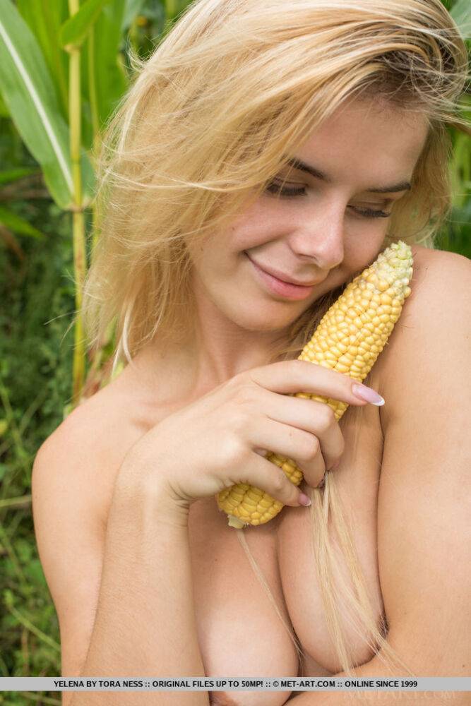 Slim blonde with big boobs flaunts her meaty labia lips in a cornfield - #12