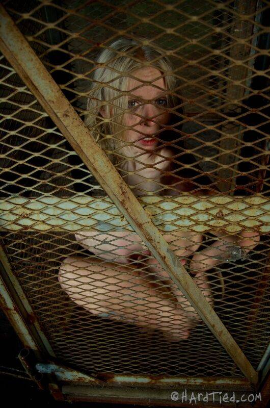 Blonde chick Sarah Jane Ceylon is restrained in a variety of ways in a dungeon - #14