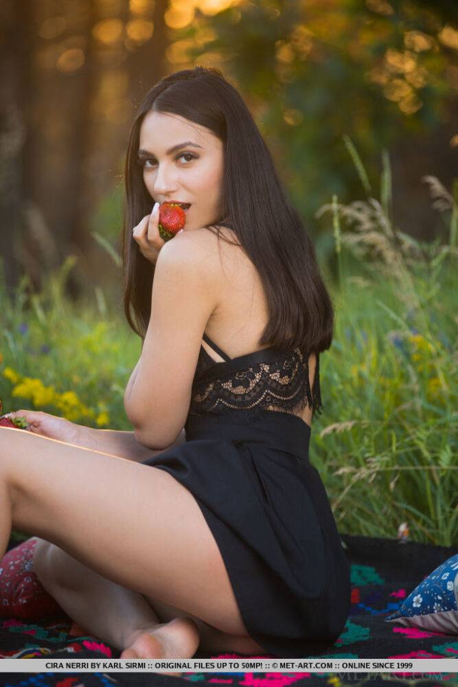 Nice teen Cira Nerri eats berries before getting naked on a picnic blanket - #6