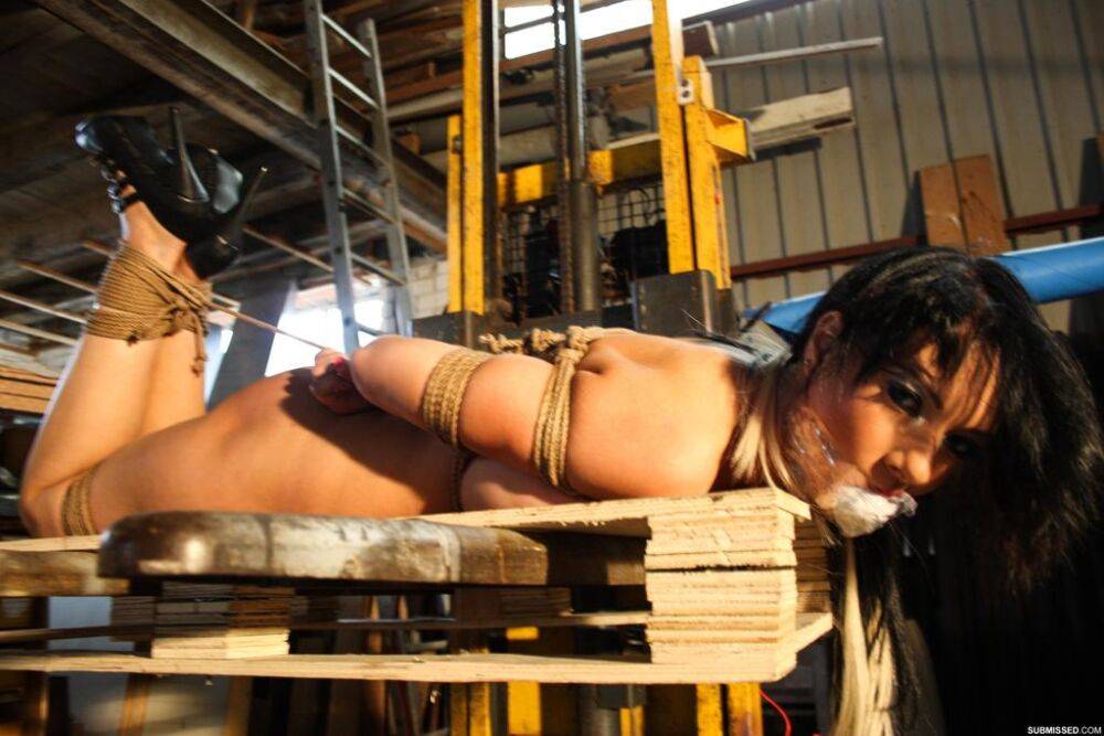 Brunette chick is gagged and hogtied on a palette out back in the warehouse - #4