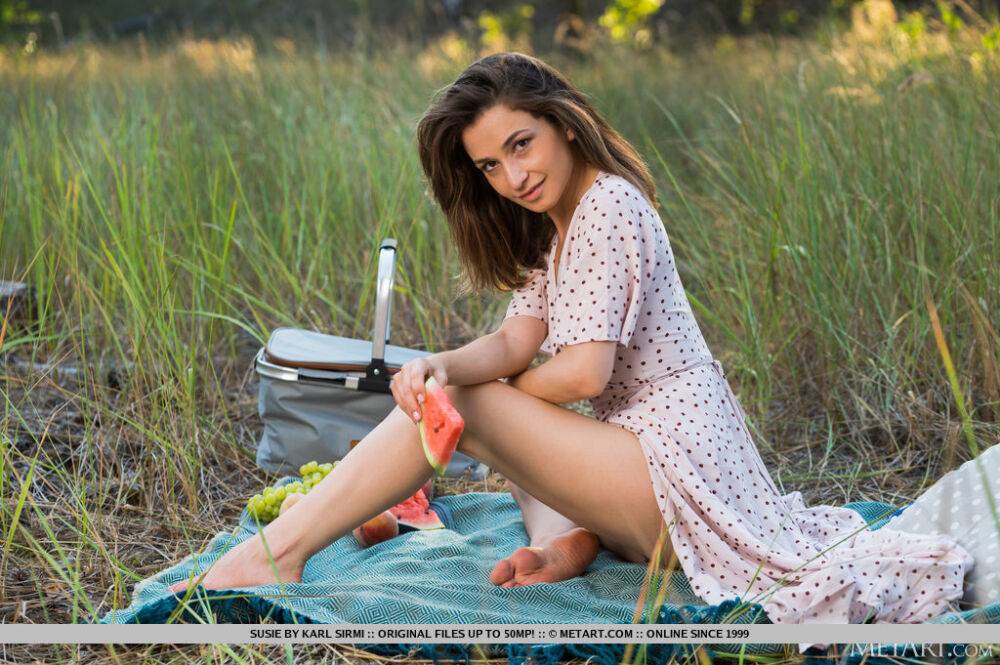 Petite teen Susie gets naked on a blanket while having a picnic - #2