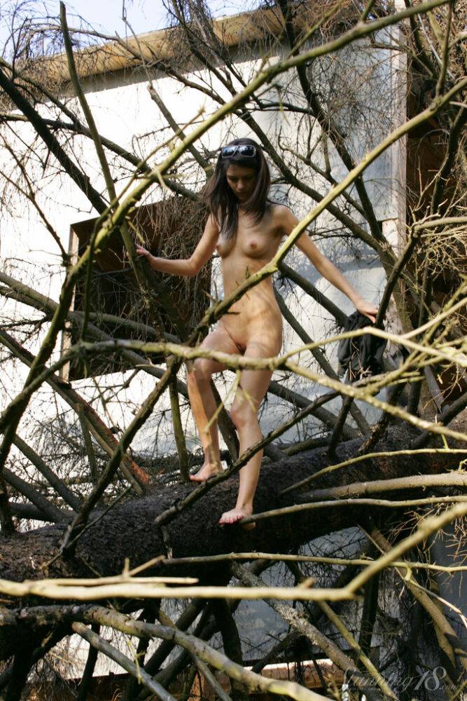 18-year-old model Roza A gets completely naked while traversing a fallen tree - #1