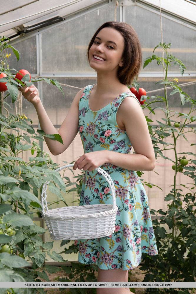 Sweet teen Kertu showcases her bald pussy after getting naked in a greenhouse - #15