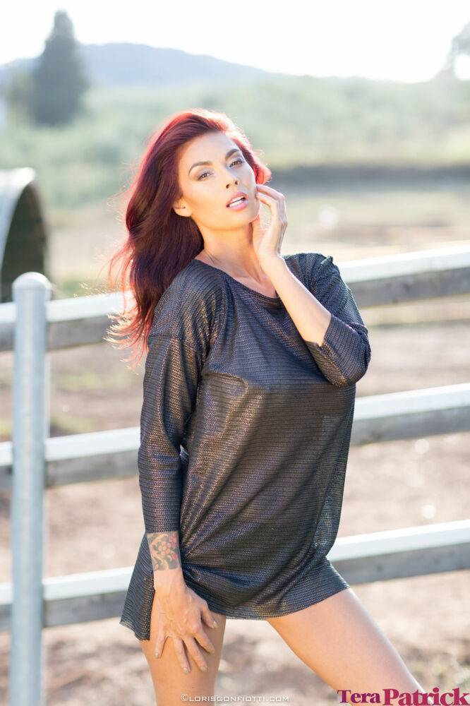 Asian beauty Tera Patrick flashes her black panties by a fence on a farm - #16