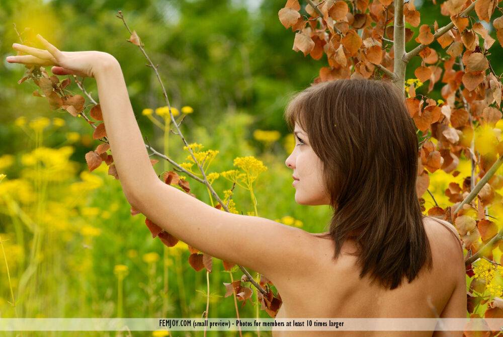 Adorable teen with perky tits and sexy butt models naked amid blooming weeds - #12