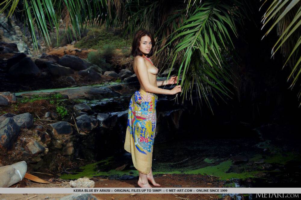 Young brunette Keira Blue models completely naked in a brook - #15