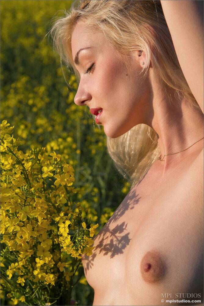 Skinny blonde models completely naked in a field gone to seed - #3