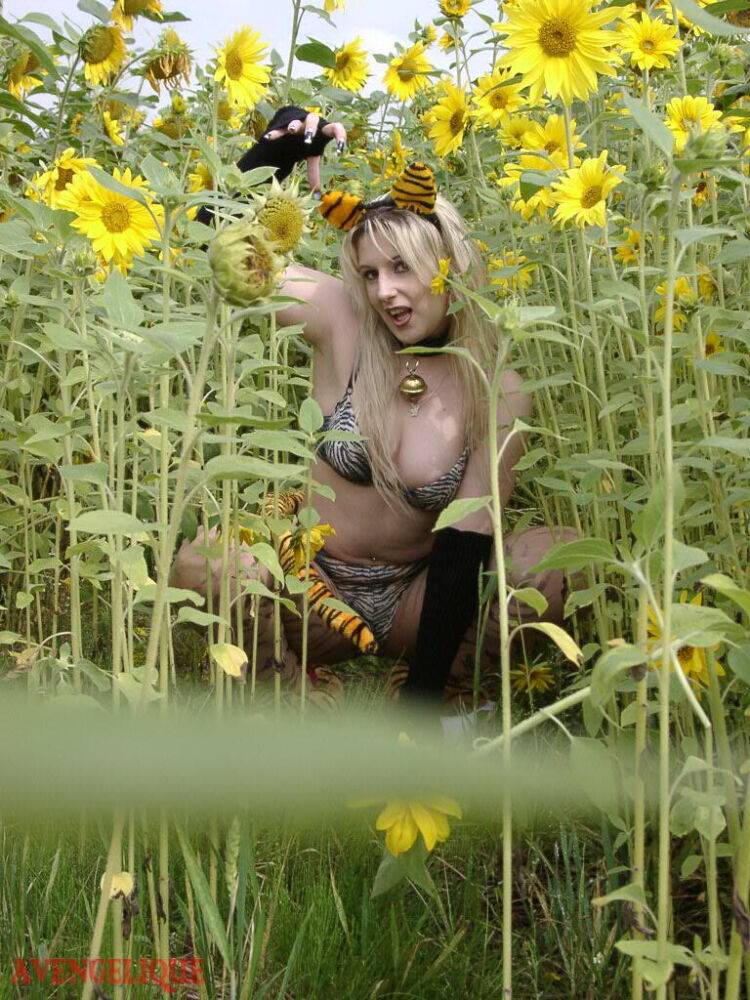 Blonde girl Avengelique models in her pretties and arm socks amid sunflowers - #4