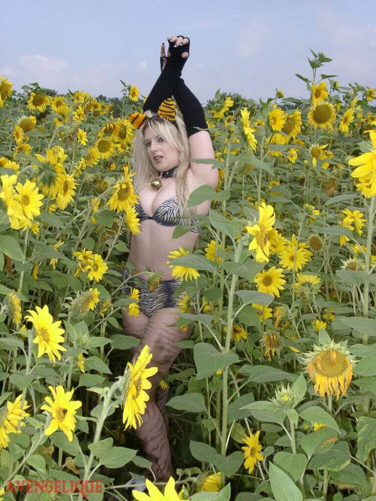 Blonde girl Avengelique models in her pretties and arm socks amid sunflowers - #16