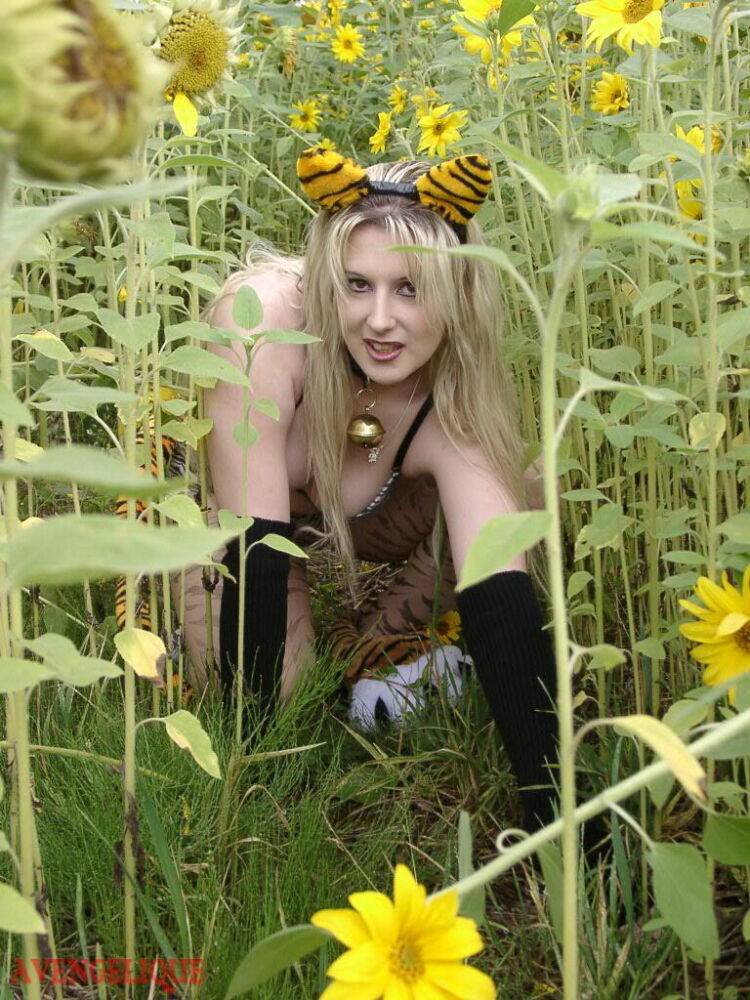 Blonde girl Avengelique models in her pretties and arm socks amid sunflowers - #2