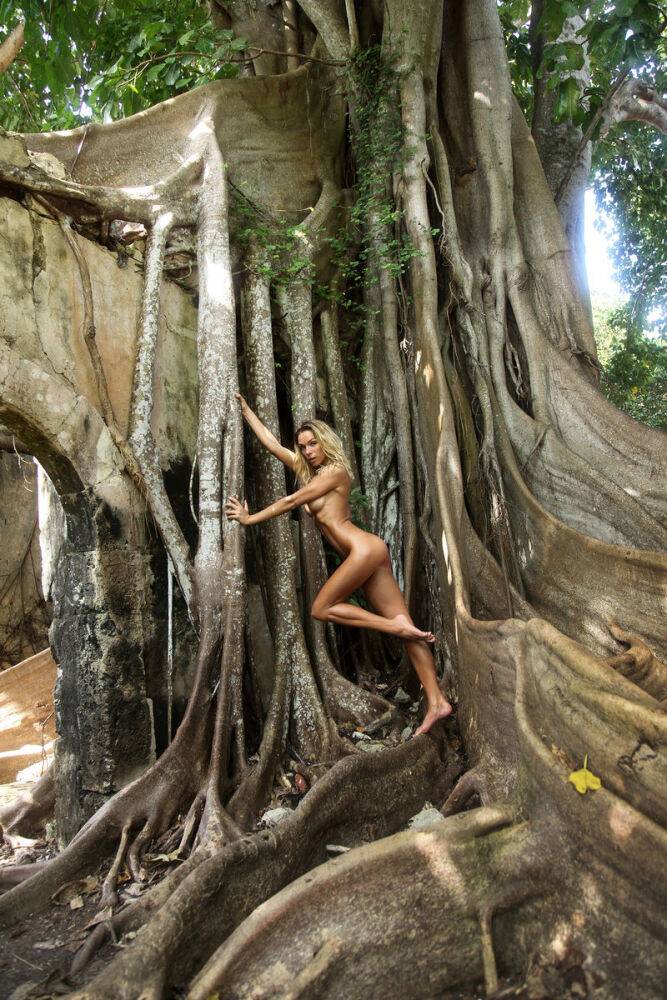 Hot blonde teen Amber A models totally naked on the roots of an old tree - #3