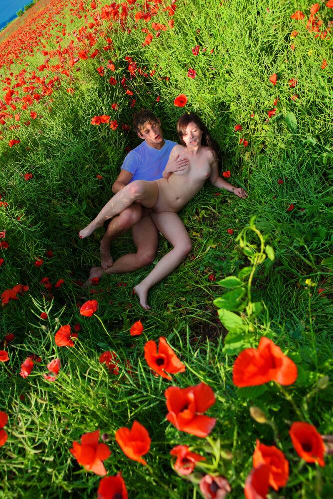 Young couple engages in hardcore sex while in a field of poppies - #14