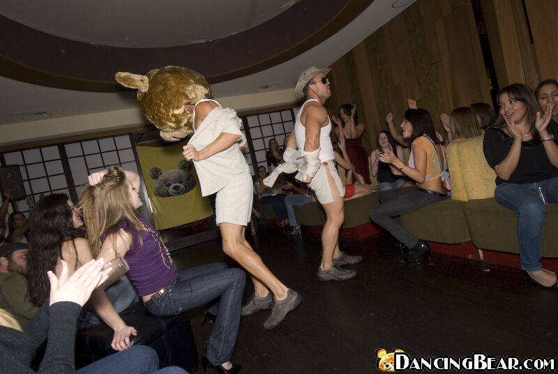 Coed party goes wild with a dancing bear and sexy girls doing blowjobs - #10