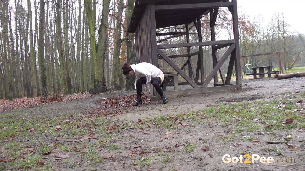 Ali B relieves piss desperation in the park - #8