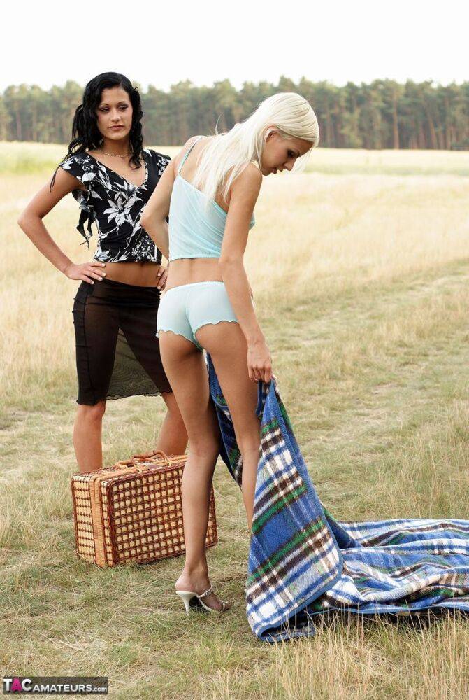 Amateur girls have lesbian sex on a blanket while picnicking in a field - #16