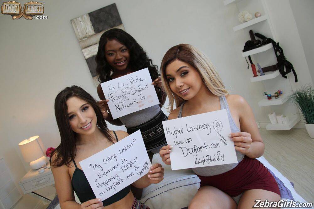 2 black dykes and a white chick partake in anal and vaginal sex with a strapon - #8