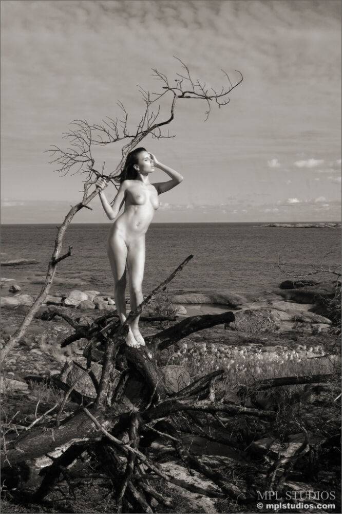 Skinny teen girl posing naked in a fallen tree in vintage black and white pics - #10