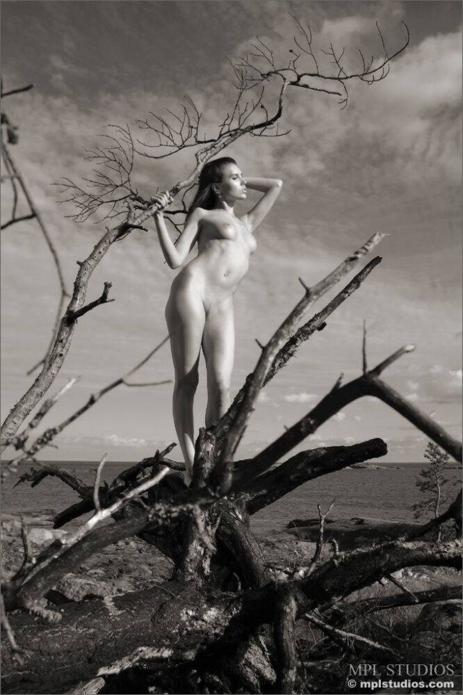 Skinny teen girl posing naked in a fallen tree in vintage black and white pics - #1