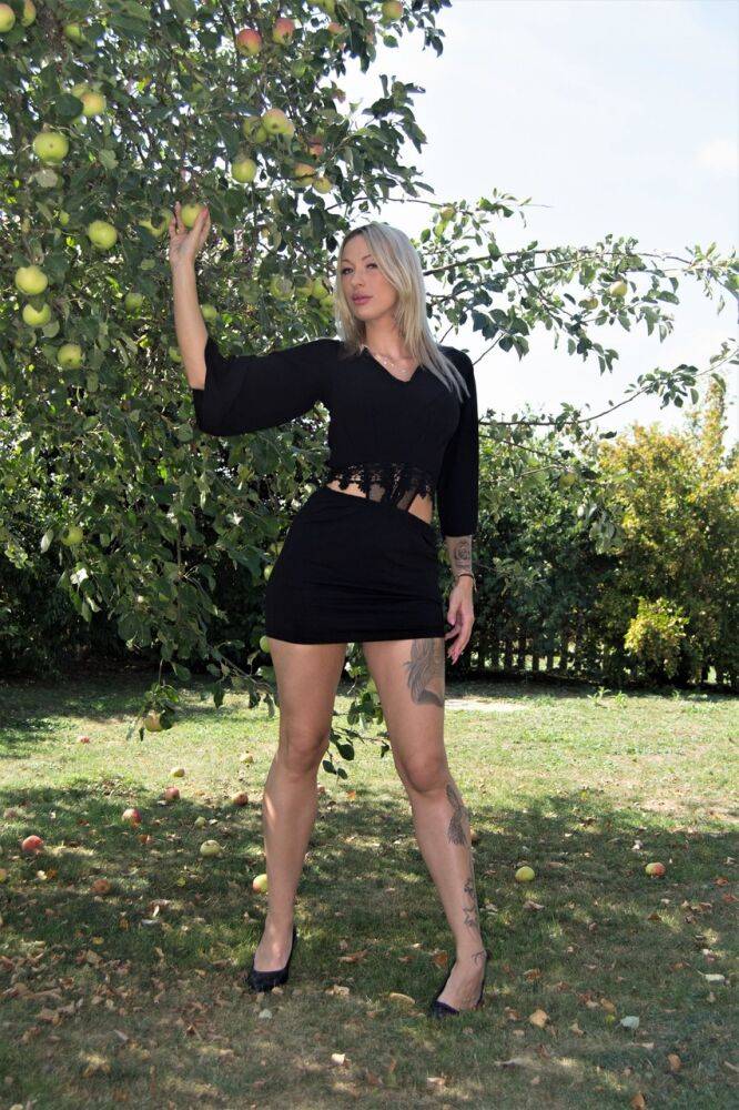 Tattooed blonde Evi Sky bares her fake tits in an expansive backyard - #3
