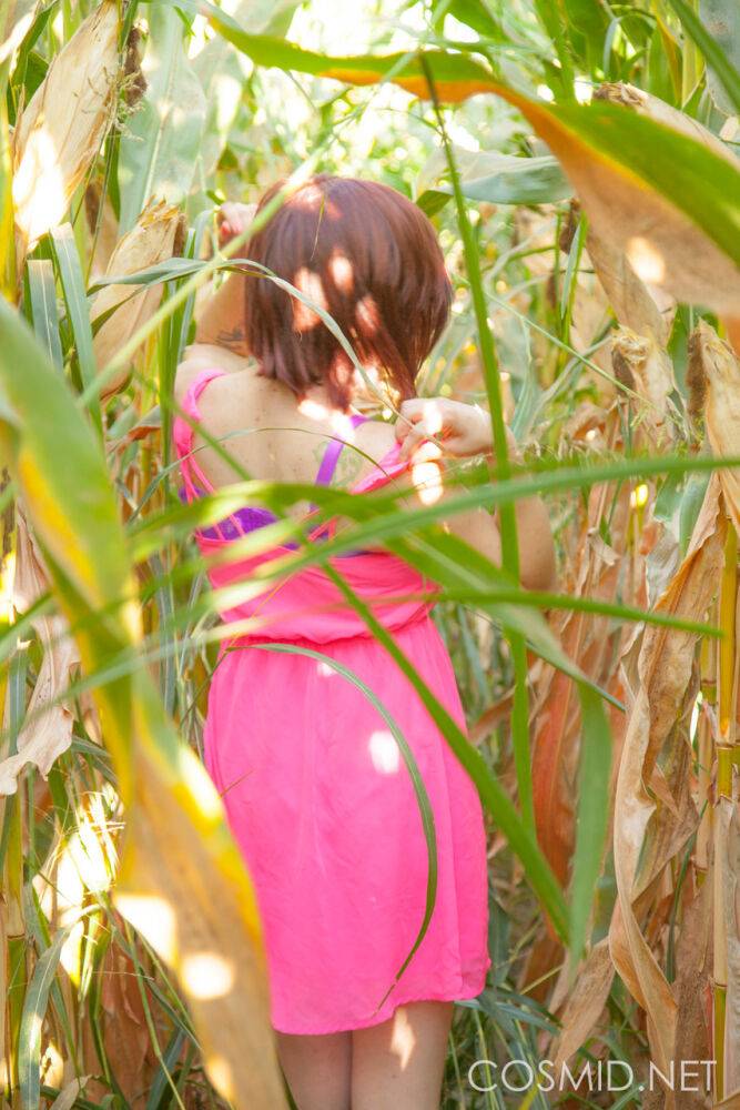 Big titted amateur Chelsea Bell disrobes in a corn field to reveal huge melons - #1