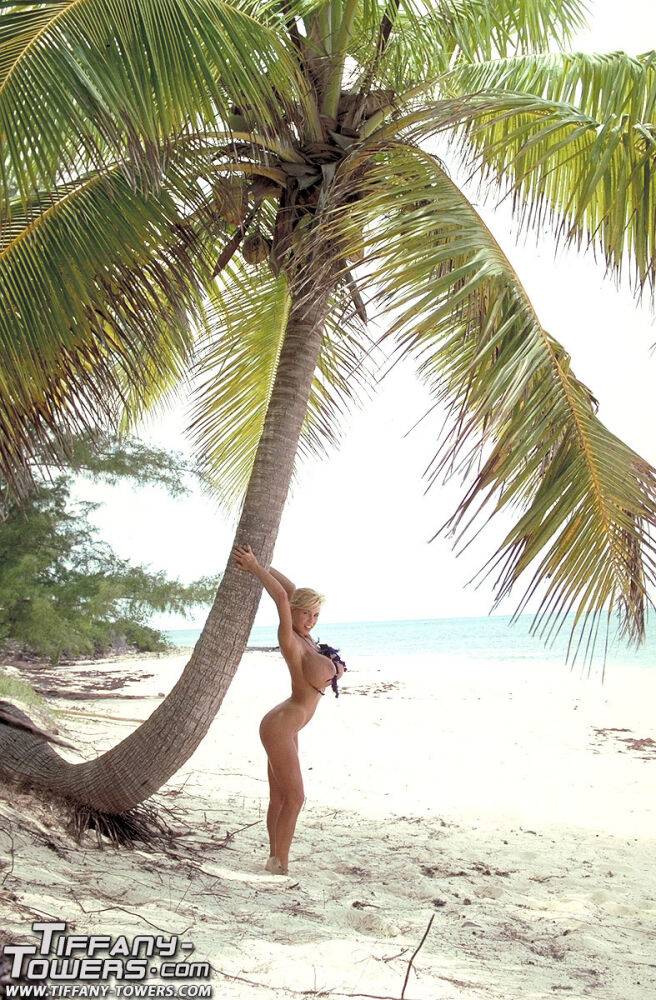 Solo model Tiffany Towers unleashes her giant tits on a Bahamian beach - #3
