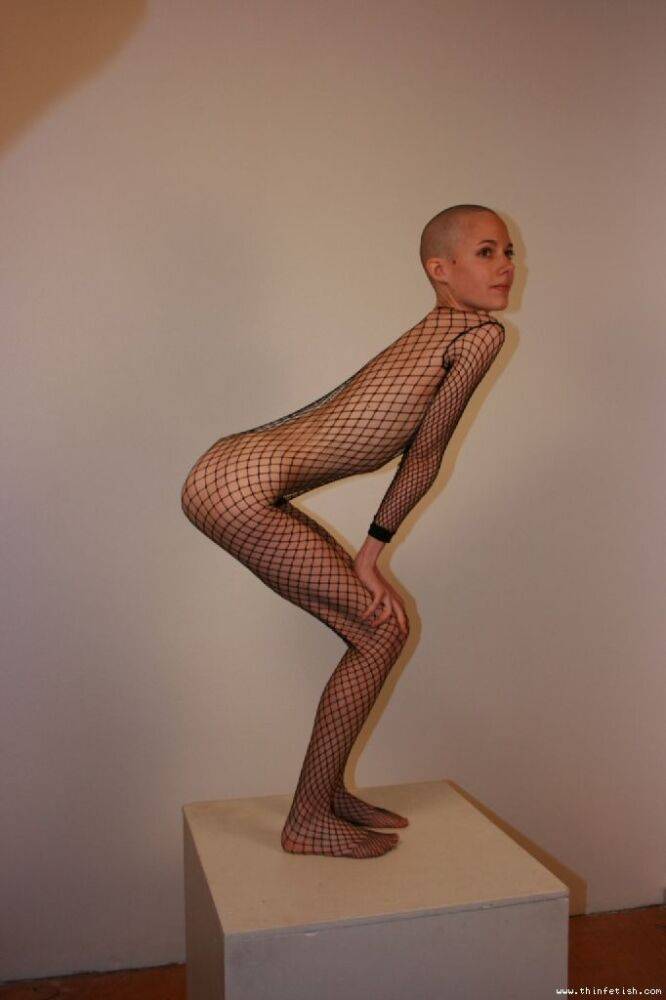 Solo model with a shaved head poses in a fishnet bodystocking - #10