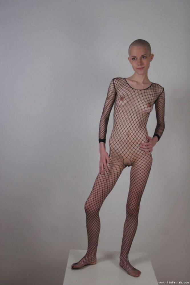 Solo model with a shaved head poses in a fishnet bodystocking - #4