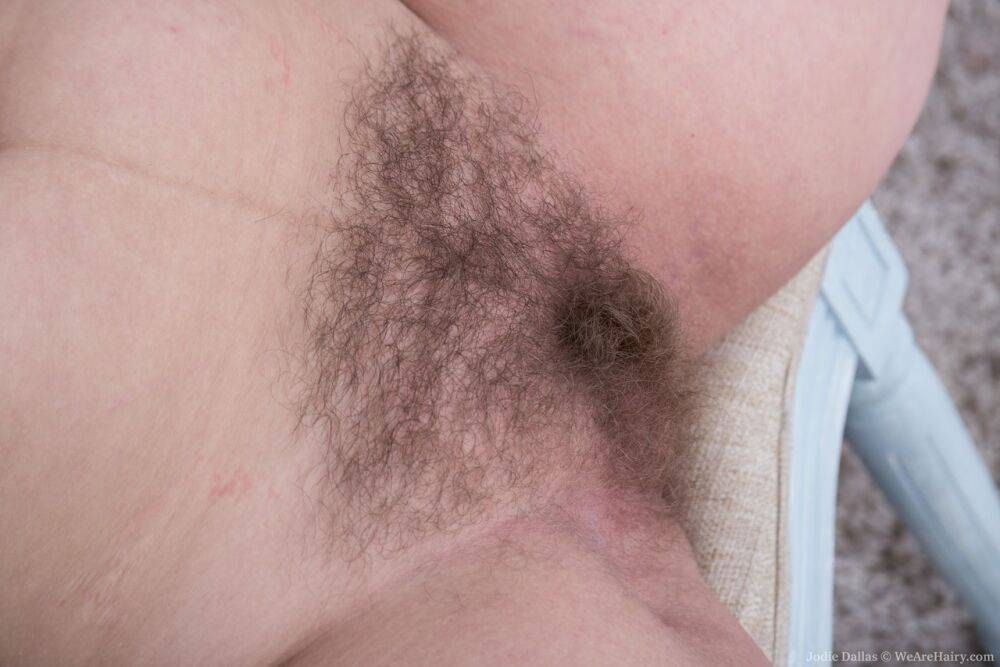 Chubby amateur Jodie Dallas puts the focus on her hairy muff after disrobing - #16