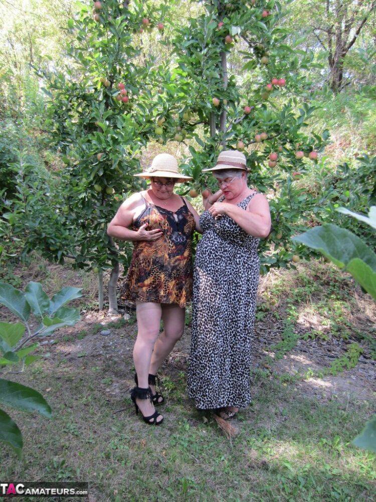 Older granny Girdle Goddess & her aged gal pal showing ass & nipples outdoors - #8