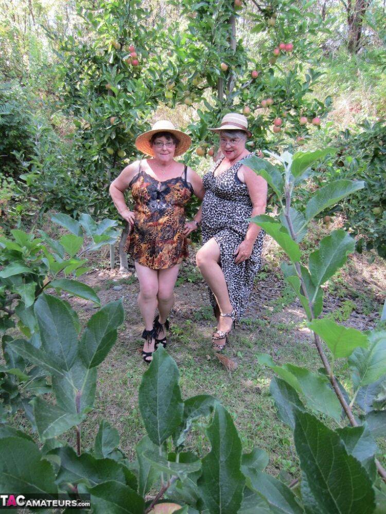 Older granny Girdle Goddess & her aged gal pal showing ass & nipples outdoors - #16