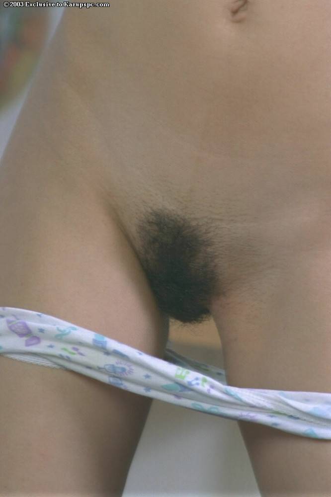 Svelte dark-haired teen Janay uncovering small tits and hairy pussy - #14