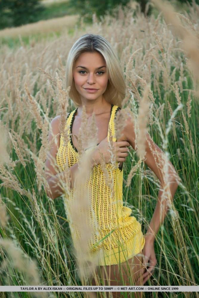 The Exciting Blonde Girl Taylor A Has The Hairy Pussy To Show To You In The Meadow - #1