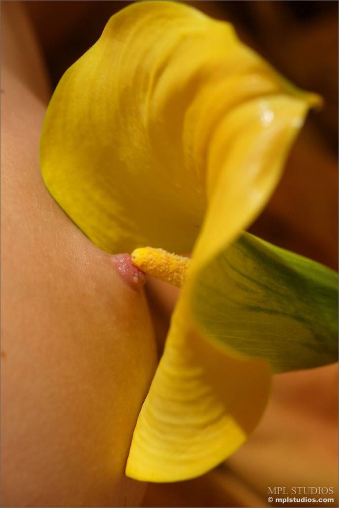 Masha P Is Lying On Silk Sheet And Gently Fondling Her Smooth Body With Yellow Flower - #9