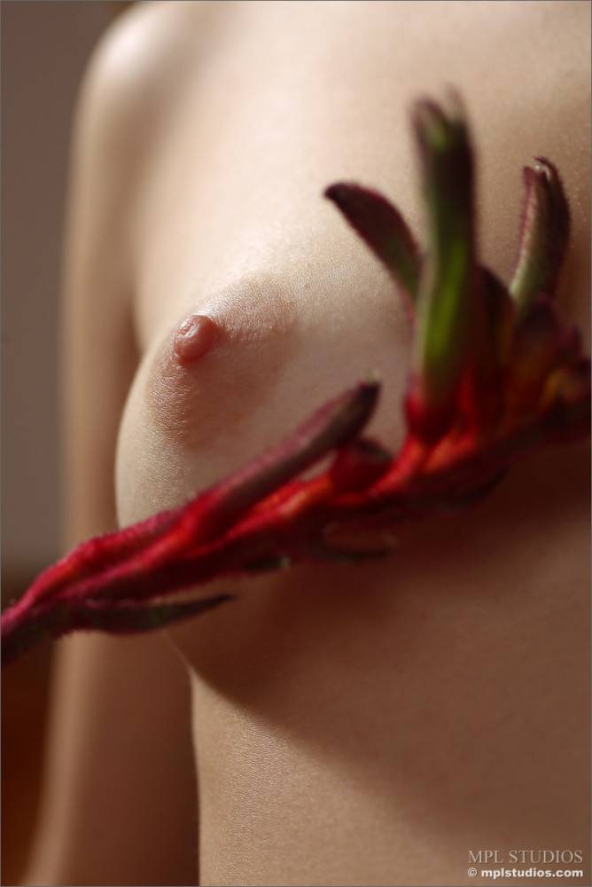 Sexy Abigail A Gets Very Intimate With A Flower - The Lucky Plant Gets To Touch Her Pussy Lips - #6