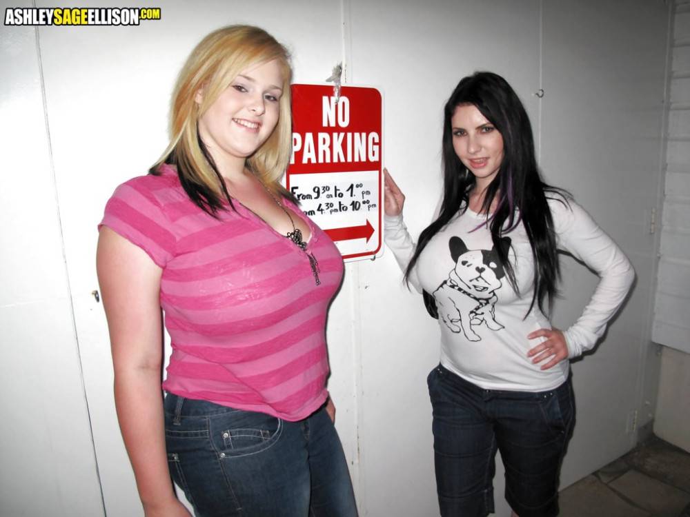 Lush girls Ashley Sage Ellison and Karina enjoy a lesbian foreplay - #14