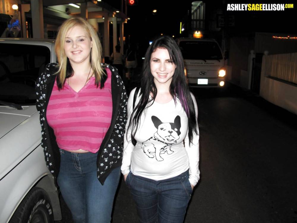 Lush girls Ashley Sage Ellison and Karina enjoy a lesbian foreplay - #10