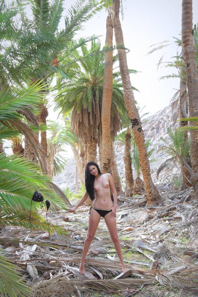 Brunette Macy B Strips Her Outfit In A Scandalous Outdoor Display Of Lust Near An Ocean Beach. - #4