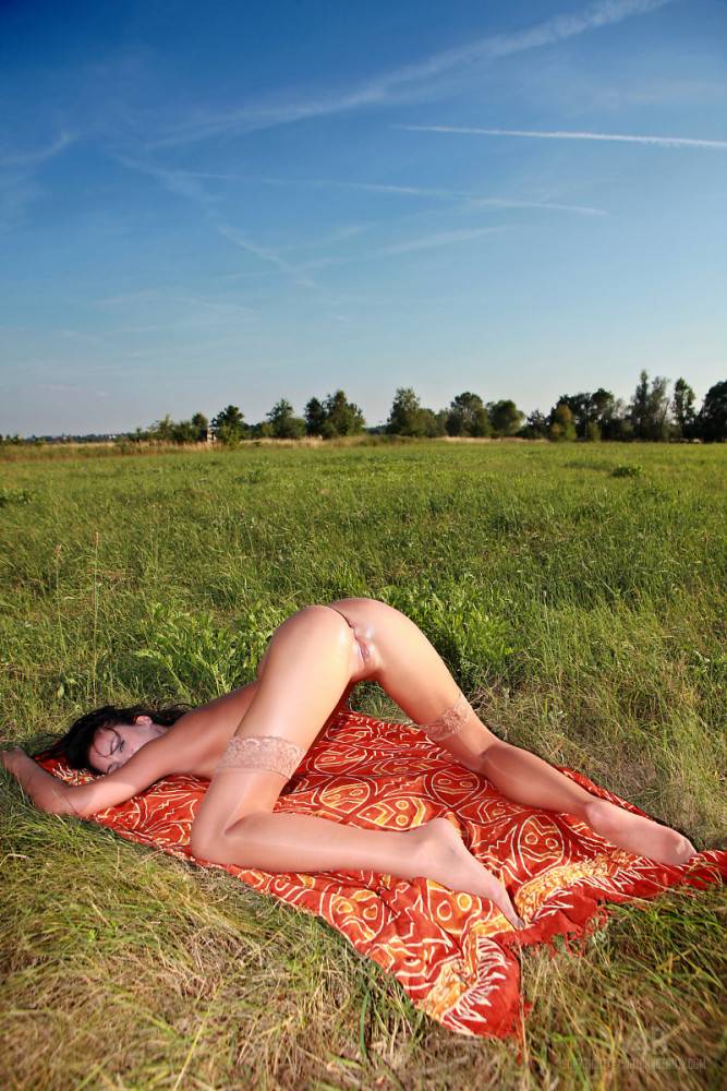 Naked Brunette Sweetie Nikita Black Shows Off Her Silky Smooth Pussy In Red Blanket In The Grass - #1