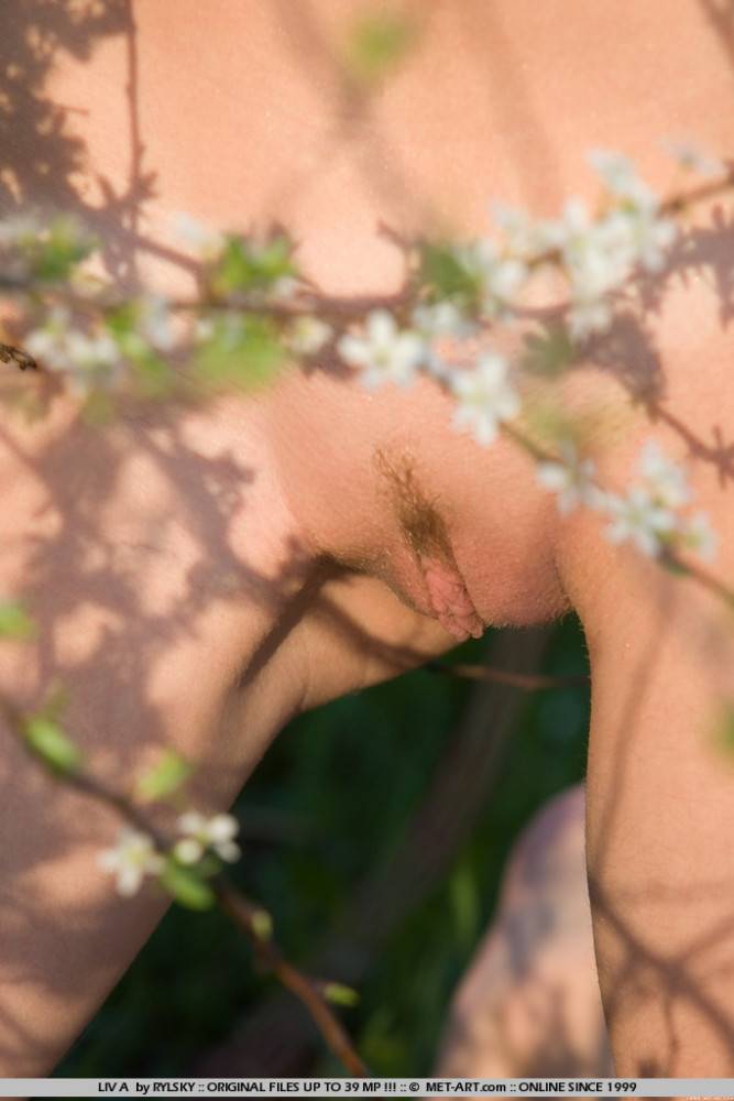 Naked Teen Sweetie Liv A Shows Her Private Parts In The Garden Beside A Blooming Tree - #9